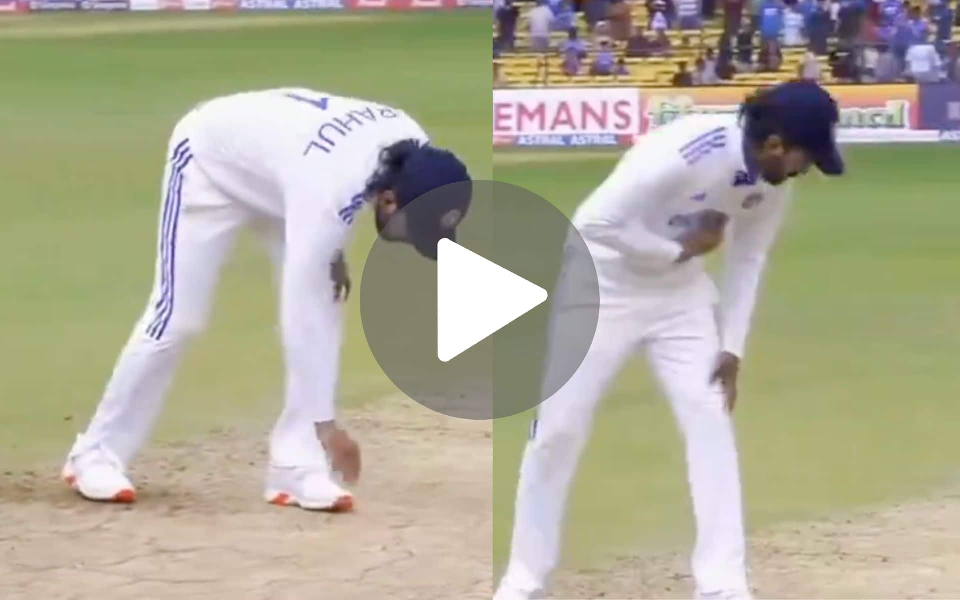 [Watch] Emotional KL Rahul Touches Bengaluru Pitch After Test Loss; Sparks Rumours Of Retirement